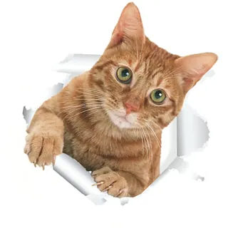 WHAMVOX 3D Wc Aufkleber Katze Selbstklebend Abnehmbar Wasserdicht Toilettensitz Wandtattoo Bad Dekor Für Haustierliebhaber Badezimmer Wanddeko