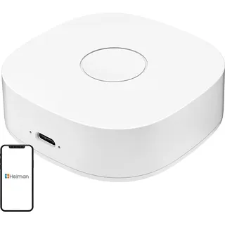 HEIMAN WS2GW-R WLAN-Gateway