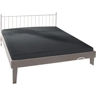 BASSETTI Spannbettlaken Uni E1/556 Baumwolle-Elasthan 180 x 200 - 200 x 220 cm Titan