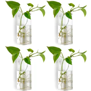 NUPTIO Wandvase für Pflanzen Innen Deko: Wandbehang Blumen Glasvase Terrarien für Wohnzimmer Küche Wand - Glas Hängetöpfe Vasen Luft Blumenvase für Raum Dekoration 4er-Set