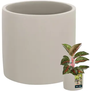 KOTARBAU® Blumentopf Keramik groß Zylinder Ethno ⌀ 16 cm Höhe 15 cm 1 St. Blumenübertopf Keramik Blumentopf Betonoptik kleine Übertöpfe Keramiktopf Pflanzen
