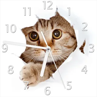 Wallario Design Wanduhr Katze mit Blick nach vorn aus Echtglas, Größe 20 x 20 cm - Weiß