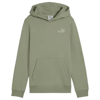 Puma ESS 2 Color Small No. 1 Logo Hoodie FL B