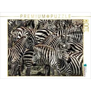 CALVENDO Puzzle Zebras schwarz- Weiss Streifen 1000 Teile Puzzle quer | 1000 Teile Lege-Größe 64 x 48 cm Foto-Puzzle für glückliche Stunden