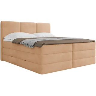 Mid.you Boxspringbett , Terracotta , Holz, Textil, Holzwerkstoff , H2 + H3 , 160x200 cm , Bettkasten, gepolstertes Kopfteil, Topper durchgehend, Wendematratze mit unterschiedlichen Härtegraden, Matratze geteilt , Holzmöbel, Holzbetten, Boxspringbetten Holz