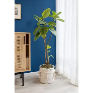 Dekorative Baumwollseil-Makramee-Mand mit gewebten Quasten und Aufbewahrungsbox - Für Kinderzimmer, Wohnzimmer, Schlafzimmer - 38 cm Deckenkorb