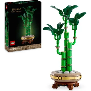 LEGO Botanicals 10344 Glücks-Bambus