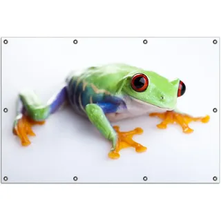 Wallario Outdoor-Poster für Garten oder Balkon, Motiv Lustiger Frosch in grün und orange, in ca. 100 x 150 cm - Weiß
