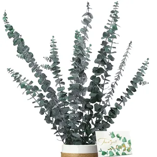 Eukalyptus Getrocknet - Natürliche Trockenblumen, 11 Stück Set Enthält Grußkarten, Eukalyptus echt ewig Haltbare Trockenblumen, Dekoration für die perfekte Hochzeit、Blumen Arrangements Heim Decor