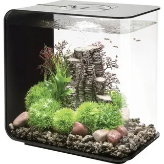 Oase 72033 biOrb FLOW 30 LED schwarz Aquarium 30 l mit LED-Beleuchtung