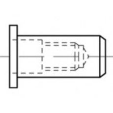 Bild von TO-5444283 Blindnietmutter M5 Stahl 500St.