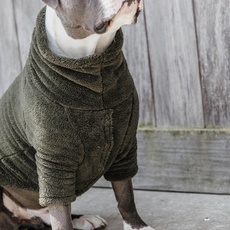 Bild von Dogwear Hunde Pullover Teddy Fleece Tannengrün XXL