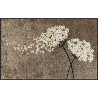 Salonloewe - - 75 x 120 cm