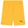 Puma teamGOAL Orange 128