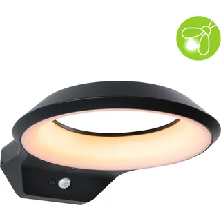 Paulmann LED Außenwandleuchte Anela Dämmerungsgesteuerter Bewegungsmelder (IR) insektenfreundlich - Grau, Schwarz