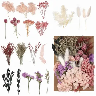 Natürliches Trockenblumenpaket Echte Blumen Getrocknet und Frisch gehalten Natürlich Getrocknet Farbe Erhalten Hausdekoration Geschenk Trockenblumen Tischdeko Blumen Deko