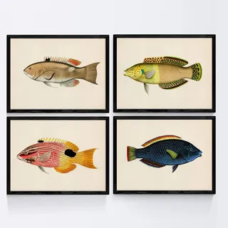 Set von 4 Platten mit bunten Fischen Vintage gelb grün blau Ton-Effekt. Palamea. 4 verschiedene Fisch Zusammensetzung im A4-Format, Hintergrund Altpapier Poster Papier 250 gr hohe Qualität. Frameless