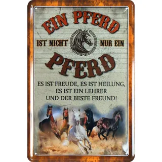WOGEKA ART Retro Blechschild - Ein Pferd ist nicht nur ein Pferd - lustiger Spruch als Geschenk-Idee zur Deko, 20 x 30 cm, aus Metall im Vintage Design 976