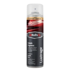 Holts Polnischer Express 500ml