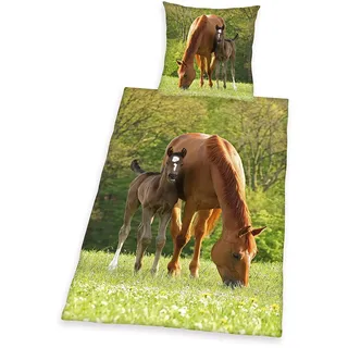 Herding Young Collection Pferde Motiv Grün 135 x 200 cm + 80 x 80 cm