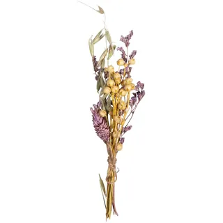 Rayher Trockenblumen-Strauß, Flieder/Hellbeige Töne, Mini-Strauß Trockenblumen, Bündel 18 – 20 cm, echte getrocknete Blumen, Trockenblumen Deko, 85491308