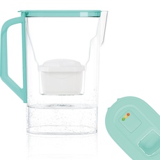 Wessper Karaffe für Kühlschranktür 2,7L, kompatibel mit Brita Maxtra, Wasserkanne mit Filterverschleißanzeige- Set enthält einen Wasserfilter karaffe und eine Wasserfilter- Minze