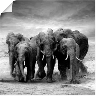 Artland Wandbild "Elefanten" Wildtiere 1 Stk. tlg. als Leinwandbild, Poster in verschied. Größen, farbe bild(er): schwarz