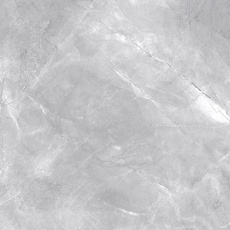 Bild Bodenfliese Feinsteinzeug Messina 60 x 60 cm grau