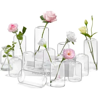 ZENS Kleine Vasen Set 12er, Vintage Zylinder Deko Glasvasen für Tischdeko Hochzeit Party, Handgeblasen Glas Blumenvasen für Heimdekoration Mittelstücke