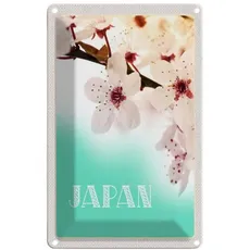 Blechschild 18x12 cm Japan Asien Blume weiß rosa