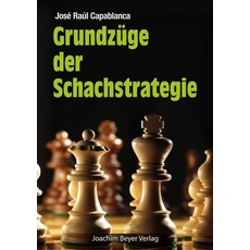 Bild Grundzüge der Schachstrategie
