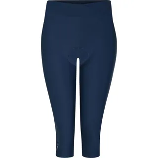 Dare 2b Worldly 3/4-Hosen Blau 38
