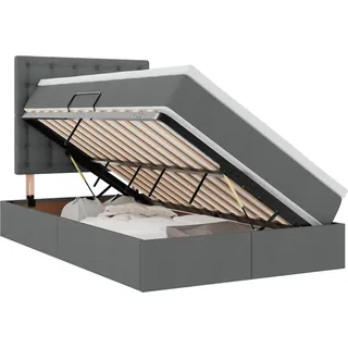 vidaXL Aufbewahrungsbett mit Matratze Dunkelgrau 120 x 190 cm Stoff - Grau