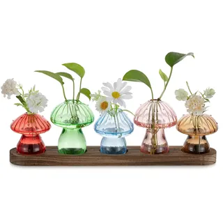 Glasseam Pilz Vase Propagation Station: Glas Vasen Klein mit Holz Ständer - Mini Glasvasen Bunt für Indoor Home Wohnzimmer Büro Tisch Regal Deko - Lovely Blumenvasen Set von 5 für Pflanzen Hydrokultur