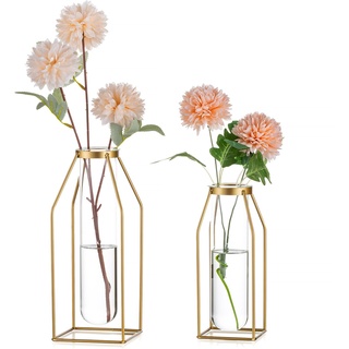 Sziqiqi Metall Reagenzgläser Blumenvase - Gold GestellVase mit Gläser 19.5/24.5cm Moderne Draht Vase für Wohnzimmer Tischdeko Design Geometrisch Vase für Rose Pflanzen Pampas Trockenblumen