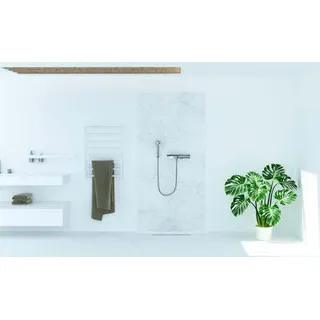 Duschrückwand MARMOR 100 x 250 x 0.3 cm