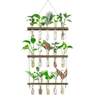 Drei-lagige Wand-Blumenvasen mit Holzständer - Ideal für Hydrokultur - 1 Stück - Glas