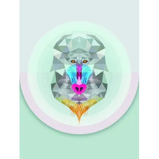 KOMAR Wandbild Baboon 30 x 40 cm