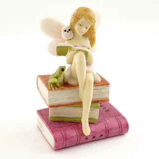 Top Collection Miniatur Garten und Terrarium Fairy Lesung auf Büchern mit Frosch und Eule Figur
