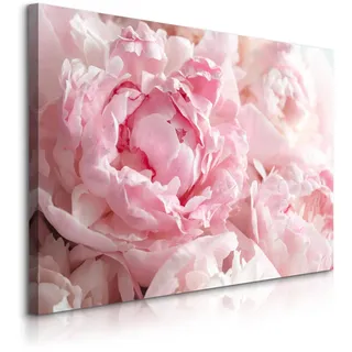 Muralo Leinwandbild Pfingstrosen Blumen 3D Pflanzen Natur 40x30 , Textil , Floral , Rechteckig , 40x30 cm , Bilder & Rahmen, Bilder, Leinwandbilder