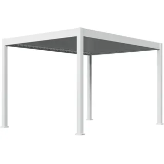 Weide E-Deluxe Plus 3 x 4 m Weiß/Grau