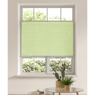my home Plissee »LAHOLM« Lichtschutz ohne Bohren verspannt Fixmaß, Bestseller mit über 3000 4,5-Sterne-Bewertungen, Klemmträger, grün