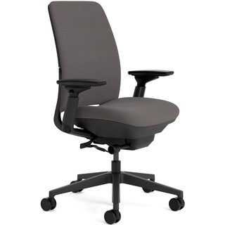 Steelcase Amia Ergonomischer Bürostuhl mit LiveBack Lumbalstütze und 4D-Armlehnen Eule