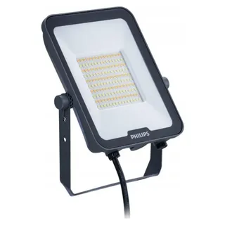 Philips Außenstrahler Aluminium 50 W inkl. Bewegungsmelder grau