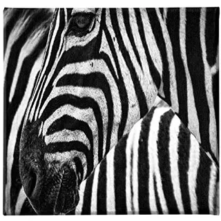 Homemania HM20KNV60x60-239 Zebra-Bild für Wohnzimmer, Schlafzimmer, Mehrfarbig, Polyester, Holz, 60 x 3 x 60 cm