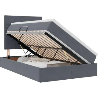 vidaXL Bett mit Stauraum und LED mit LED Dunkelgrau 120 x 190 cm Samt - Grau
