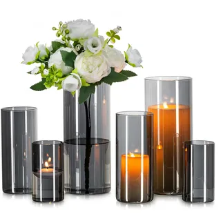 Glasseam Glasvase Zylinder Vase Grau: 6 Stück Glas Vasen Set für Wohnzimmer Deko Glaszylinder Windlicht - Runde Blumenvase Modern Glasvasen für Tischdeko Tulpen Pampasgras (10/15/20cm)
