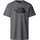 Logo Kurzarm-t-shirt TNF Medium Grey Heather XL