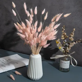 120 x Getrocknete Pampasgras Pampas Deko Trockenblumen Trockenblumenstrauß Natürliche Blumendekoration Gräser für Hochzeit Innendekoration Schlafzimmer Wohnzimmer (Rosa)