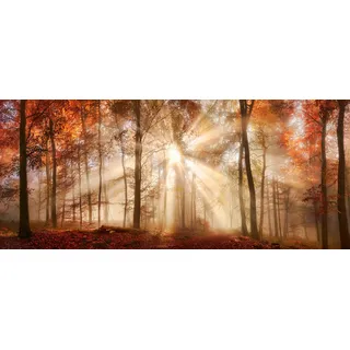 Leinwandbild BÖNNINGHOFF "Wandbild HERBSTWALD XXL 60x140 cm – Leinwandbild Keilrahmen Deko", bunt (farbe rahmen: kein rahmen, farbe bild(er): orange, braun, rot, gold), B:140cm H:60cm T:1,8cm, Canvas, MDF, Bilder, Leinwandbild, auf Keilrahmen gespannt